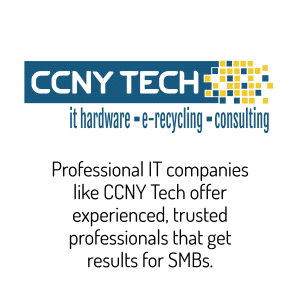 Professional IT companies offer experienced, trusted professionals