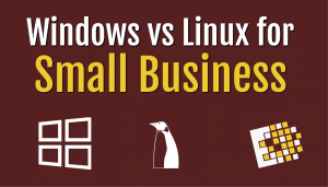windows versus linux blog ccnytech